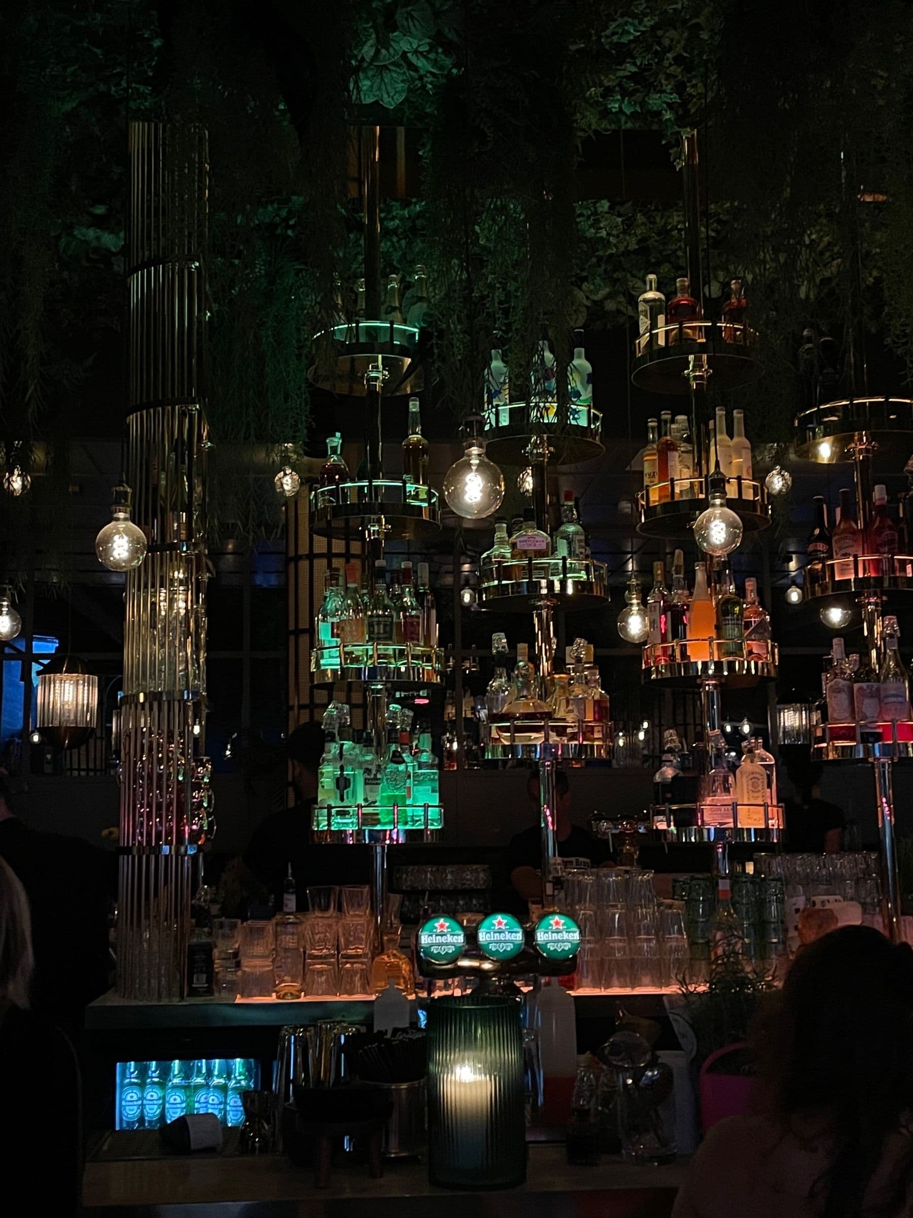 Amazonia by BAR