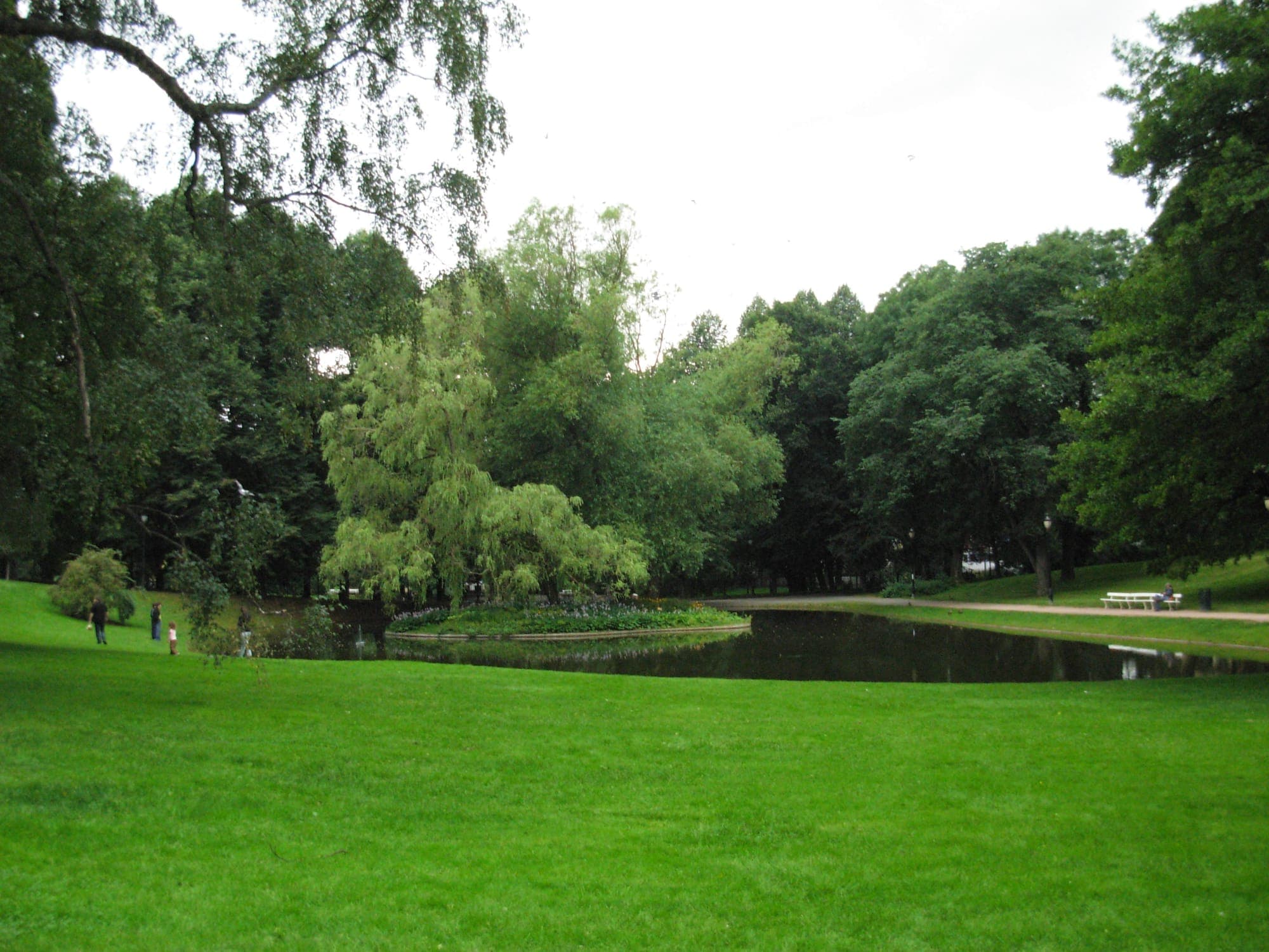 Slottsparken's lawn sloping down to a tree-ringed pond